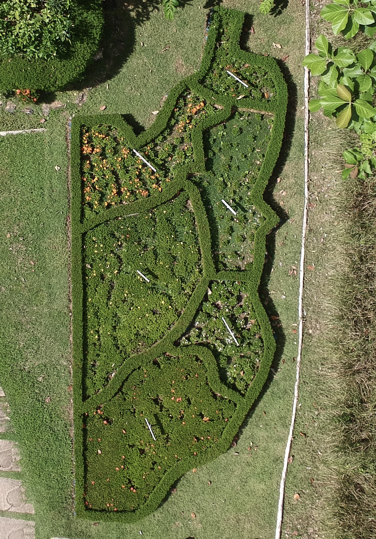 DCIM/100MEDIA/DJI_1855.JPG